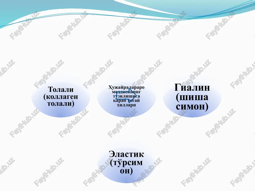 da bilan to'yingan, undagi uzunchoq-ovalsimoi shakldagi suyak bo'shliqlarda osteotsit hujayralar joylashadi plastinkasimon suyak to'qimasi voyaga etgan organizmning barcha suyaklarining asosiy qismi plastinkasimon suyakdan tashkil topgan bo'ladi suyak tarkibidagi plastinkalar ingichka, bir-biriga parallel holda joylashgan kollagei tolalardan va osteotsit hujayralarlan iborat har bir plastinkada kollagen tolalar qo'shni plastinkadagi kollagen tolalarga nisbatan perpendikulyar joylashib, suyak to'qimasini mustahkamlaydi 18 suyak moddasi xillari kompakt suyak moddasi: suyakda plastinkalar bir-biriga jips birlashib parallel joylashadi g'ovak suyak moddasida suyakda plastinkalar har xil yo'nalishda, bir-biriga nisbatan turli xil burchak hosil qilib joylashib, kichik-kichik bo'shliqlar hosil qiladi naysimon suyakning gistologik tuzilishi oid tushunchalar suyak usti pardasi (periost) endost (endosteum) tashqi umumiy suyak plastinkalar sistemasi osteonlar (gavers) sistemasi ichki umumiy suyak plastinkalari sistemlari oraliq plastinkalar audio1.bin image2.jpeg image3.jpeg image4.jpeg image5.png image6.jpeg image7.jpeg image8.jpeg image9.jpeg /docprops/thumbnail.jpeg