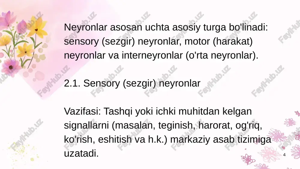 neyron turlari - Page 4