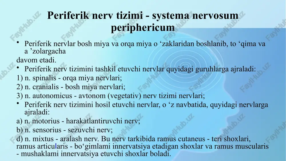 : 1. n. occipitalis minor - ensaning kichik nervi ensa sohasi terisini innervatsiya qiladi. 2. n. auricularis magnus - quloq suprasi terisini innervatsiya qiladigan katta nerv. bu nervdan oldingi shox - ramus anterior va orqa shox - ramus posterior ajraladi 3. n. transversus colli - bo‘yinning ko‘ndalang nervi bo‘yin terisini innervatsiya etadi.bu nervdan ustki shox - r.r.superiores va pastki shox - r.r. inferiores lar ajraladi. 4. n. supraclaviculares - o‘mrov usti nervi ko‘krakning yuqori qismi terisida tarqaladi. bu nerv tolalari n.n. supraclaviculares medialis, intermedia et laterales tarmoqlariga ajraladi. harakatlantiruvchi tarmoqlar: 1. bo‘yin chigalidan rami muscularis tarmoqlari ajralib, bo‘yin sohasining chuqur guruh mushaklarini innervatsiya qiladi. bu tolalar quyidagi mushaklami innervatsiyalaydi: m. m. recti capitis anterior et lateralis, m.m. longi capitis et colli, m. scaleni, m. levator scapulae, m.m. intertransversarii anteriores. 2. radix inferior ansae cervicalis - bo‘yin chigali tarmog‘i bo‘lib, xii juft bosh miya nervi - n. hypoglossus tarmog‘i radix superior …