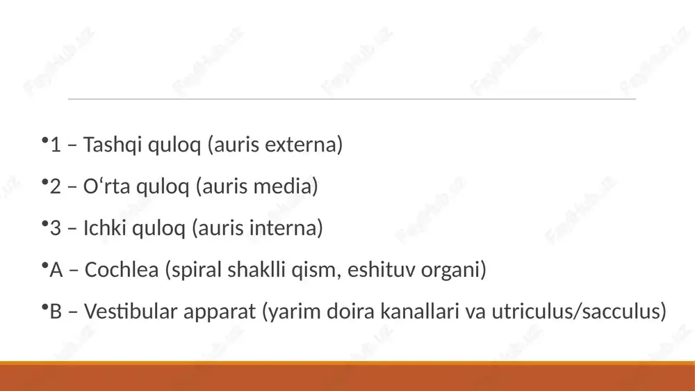 eshituv va muvozanat anatomiyasi - Page 4
