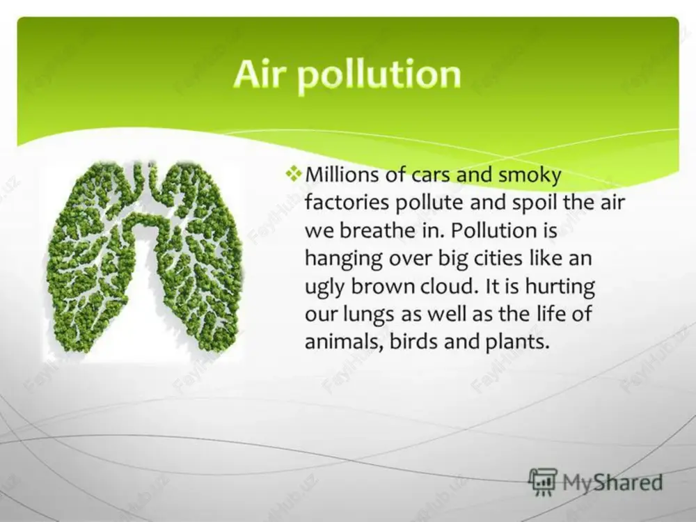 environmental protection - Page 4