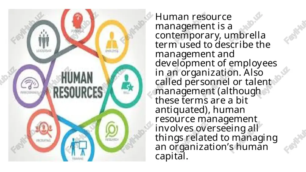 volving its workforce. for example, new companies may use their services to establish company policy and procedures and ensure they are complying with applicable laws regarding their employees, while in larger companies their services may involve establishing grievance mediation processes. in some cases, they may even go so far as to make recommendations for reorganizing a department’s leadership structure. how to become a human resource manager human resource managers are the overseers of the human resources department and insurers of the functions and tasks being carried out by the hr team. they are often seen as the link between an organization’s management and its employees, as their work runs the gamut from providing consultation on strategic planning with top executives to recruiting, interviewing, and hiring new staff. as such, hr managers are the professionals responsible for attracting, motivating, and retaining the most qualified talent by directing the administrative functions of …