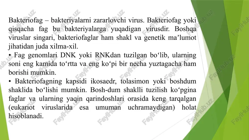 hiqarish sharoitida fag tushmasligining oldini olish maqsadida barcha tegishli yo‘llaridan yana biri ishlab chiqarish jarayonida sanitariya-gigiena qoidalariga rioy qilishdir. bu esa quyidagi amaliy ishlarni bajarishni taqqazo etadi: • oziqa muhitini, suvni, havoni sterilizatsiyasini ta’minlash; • ko‘paytirish uchun foydalaniladigan mikroorganizm albatta fagdan holi bo‘lishiga erishish; • foydalanilayotgan shtamm ishlab chiqarish talabiga javob berishi, ayniqsa: lizogen bo‘lmasligi (hech bo‘lmaganda tashqariga tirik fag chiqmasligi zarur - shtamm uchun faol ta’sir qiladigan ma’lum faglar to‘plamiga chidamli bo‘lishi shart. sanoatda qo‘llaniladigan bakteriyalarni maxsuldorligini genetika va seleksiya usullari bilan oshirishda bakteriofaglardan keng foydalaniladi. bakteriofag dnk si yoki uni bo‘laklari (fragmentlari) bakteriya foydali genlarini klonlashda vektor vazifasini bajarishi mumkin. e’tiboringiz uchun raxmat! image1.jpeg /docprops/thumbnail.jpeg