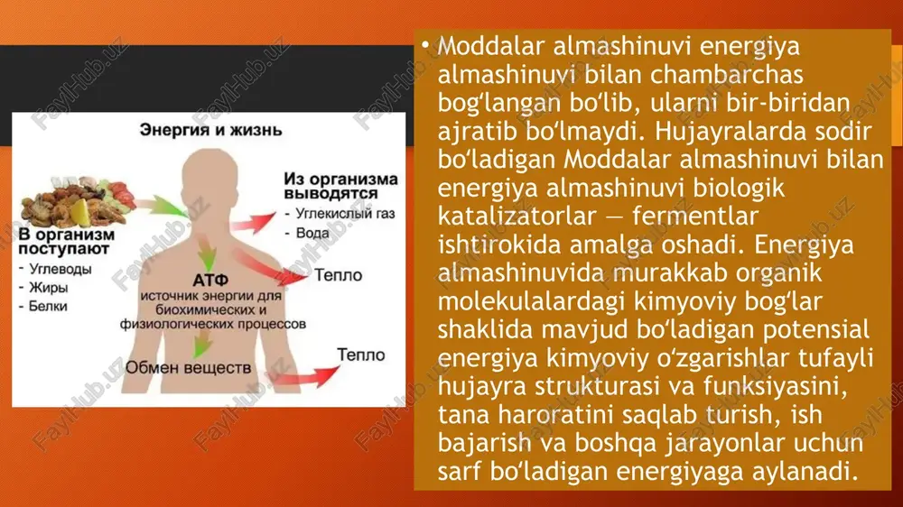 z, buyrak faoliyatida buzilish kuzatiladi. mayda va katta qon tomirlaridagi asoratlar bilan birga, bo'y o'smasligi va jinsiy rivojlanishning orqada qolish holatlari ro'y beradi. ushbu belgilar qandli diabetning kechki asoratlaridan hisoblanadi. shu bois, farzandiga qandli diabet 1-tur tashxisi qo'yilgan ota-onalar dastlab o'g'il-qizlarining maxsus maktablar, ya'ni diabet: o'z-o'zini nazorat qilish maktablarida ta'lim olishlariga sharoit yaratishi shart. bunday maktablar har bir viloyat endokrin dispanserlari qoshida ochilgan. glikemik indeksi past bo'lgan mahsulotlar, masalan, dukkaklilar, suli, sabzavotlar qondagi qand miqdorini sekin ko'taradi. diabet bilan og'rigan bolalar kun davomida 5-6 mahal ovqatlanishi, jumladan, 3 mahal asosiy taomlanish va oraliq vaqtda qo'shimcha ovqatlanish tavsiya etiladi. parhezga rioya qilinganda qondagi qand miqdorining keskin ortishi va shu bilan birga, qandning turli a'zo va to'qimalarga nojo'ya ta'siri oldi olinadi, qabul qilinayotgan insulin dozasini korrektsiyalash oson bo'ladi. shuning uchun bolalar va ularning ota-onalari iste'mol qilinayotgan uglevodlarni hisoblashni bilishlari lozim. o’zbekiston hududida hozirgi kunda yagona bulgan ―mexrli maktab‖ gospital maktabi 2022 yil …