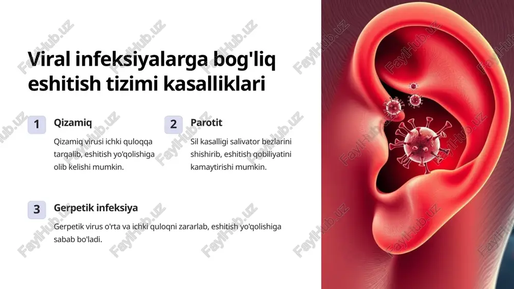 eshitish tizimi va mikroorganizmlar ta'siri - Page 4