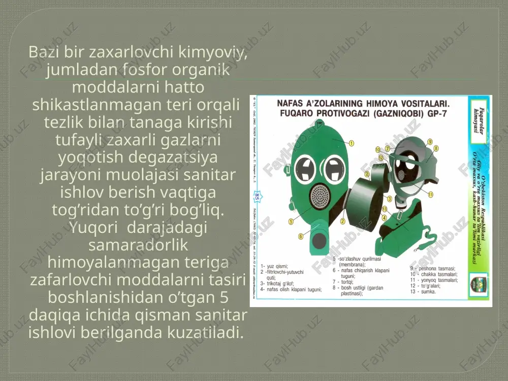 nafasolish organlarini ximoya qilish vositalari - Page 4