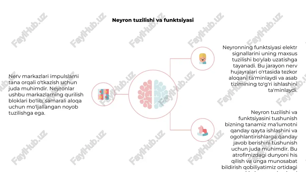 nerv markazlari va qòzgʻalishlarni oʻtishi - Page 4