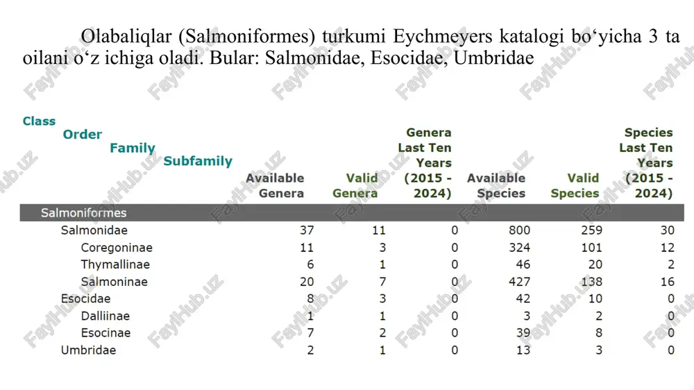 a umurtqa pog’onasining kamligi va boshining uzunligi bilan farqlanadi. taksonomik statusi aniq emas.amudaryo va orol olabalig’i bir turga mansubmi yoki turli ekologik shakllarimi, ma’lum emas. tarqalishi. orol dengizida yashagan. ko’payish uchun amudaryoning o’rta, balki yuqori oqimlariga ko’tarilgan. bu baliq kumjaning eng sharqiy formasi bo’lib, balki eski orol sistemasidan orol dengiziga kaspiy dengizidan o’tib qolgan bo’lishi ehtimol. biologiyasi. neresti noyabr-dekabr oylarida suv harorati 3- 13 c bo’lganda amalga oshadi. yiriklari mayda baliqlar bilan ovqatlanadi. ahamiyati. ehtimol yo’q bo’lib ketgandir. 1960 yildan keyin tutilganligi xaqida biror bir anbada keltirilmagan (andreev, 1999). yo’q bo’lib ketish sabablari: amudaryo va sirdaryo suvlarining sayozlashib ketishi vak orol dengizi suvining haddan ziyod sho’rlanishi hisoblanadi. pelyad coregonus peled (gmelin, 1788) tavsifi. og’zi to’g’riga qaragan, yuqori jag’i pastkisidan bir oz chiqib turadi. yelka suzgich qanotidan keyin yumshoq yog’ suzgich qanoti joylashgan. boshqa sigsimon baliqlardan tanasining balandligi bilan ajralib turadi. yelka suzgich qanotida iii-iv 9-12 ta, anal suzgich qanotida iii-iv …