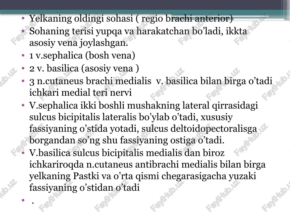 a yuzasi terisi proksimal falangalari sohasigacha bo’lgan joyni innervatsiya qiladi. bilak suyagi tomondan 3,5 barmoq terisini innervatsiya qiladi. tirsak suyagi tarafidan 1,5 barmoq terisini tirsak nervi shoxlari nervlari innervatsiya qialdi qo’l panjasining orqa yuzasini bilak suyagi tomondan 2,5 barmoq terisini bilak nervi tirsak suyagi tomondan 2,5 barmoq terisini esa tirsak nervi innervatsiya qiladi. tirsak sohasi( tashqi mo’ljallari ) ikki boshli muskulning payi ( tendo m bicipitis brachii ) , oldingi va orqa lateral hamda medial tirsak egatlari ( sulci cubitalius anteriores et posteriores lateralis et medialis ) , lateral va medial tepachalar ( epicondylus letaralis et medialis ), tirsak suyagining tirsak o’sig’i ( olecranon ) bilak suyagining boshchasi ( caput radii ) teri osti venalari. chegaralari ; yuqori va pastki chegaralari lateral va medial tepachalarni tutashtiruvchi chiziqdan 2 barmoq eni 4sm yuqorida yuqori chegara va pastda pastki chegara ko’ndalangiga chiziq o’tqazib aniqlanadi shu tepachalar orqali o’tqazilgan bo’ylama chiziq tirsak sohasi …