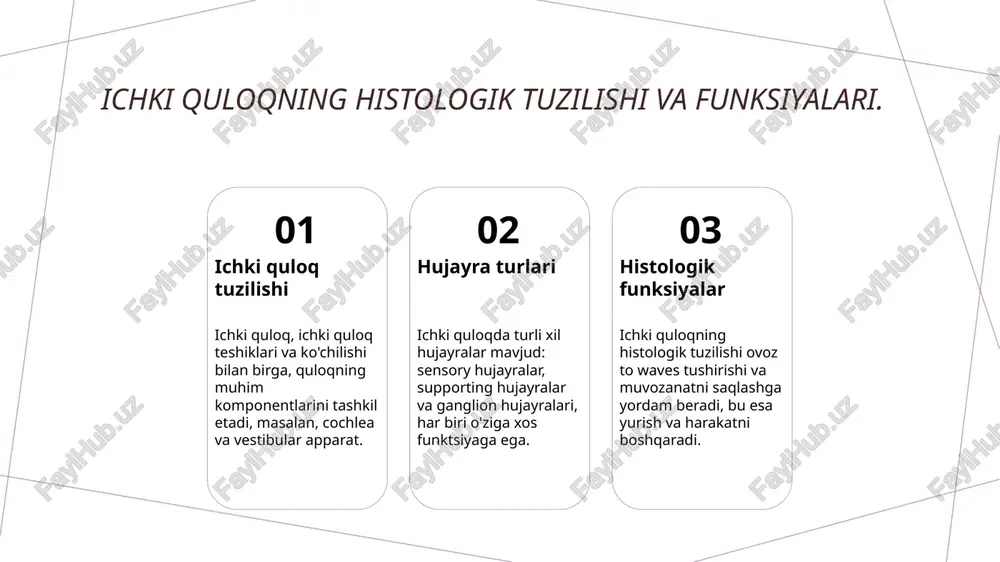 va davolash usullari zamonaviy tibbiyotda muhim ahamiyatga ega. 3 histologik tuzilish ichki quloqning histologik tuzilishi va hujayralari uning funksiyalarini tushunishda zarur. bu bilimlar kasalliklarni aniqlash va samarali davolashga yordam beradi. foydalanilgan adabiyotlar 1. toshkent tibbiyot akademiyasi. ichki quloq va gistologiyasi. toshkent, 2022 2. abdullayev, a. a. otorinolaringologiya: nazariy va amaliy jihatlari. o'zbekiston respublikasi sog'liqni saqlash vazirligi, 2023 3. murodov, s. histologiya va embriologiya: ichki quloq. o'zbekiston fanlar akademiyasi, 2021 4. qodirov, f. g. otorinolaringologiya: darslik. o'zbekiston tibbiyot universiteti, 2020 5. ismoilov, a. otorinolaringologiya va uning asoslari. tibbiyot nashriyoti, 2023 e'tiboringiz uchun rahmat! /docprops/thumbnail.jpeg