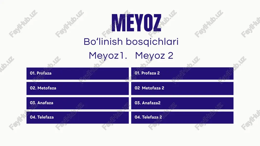 meyoz - Page 4
