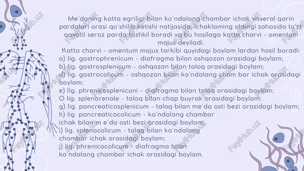 to‘g ‘ri ichak orasida chuqurcha excavatio rectovesicalis, ayollarda esa to‘g‘ri ichak bilan bachadon orasida excavatio rectouterina hamda bachadon bilan siydik qopchasi orasida - excavatio vesicouterina hosil boradi.qorin pardaning umumiy yuzasi 20400 kvadrat sm bomib, teri sathiga to‘g ‘ri keladi. qorin bo‘shligidagi a ’zolam ing hammasi ham qorin parda bilan bir xil o‘ralavermaydi. hamma tarafdan qorin parda bilan o ‘ralgan a ’zolar introperitoneal, uch tarafdan o‘ralsa mezoperitoneal va faqat bir tarafdan o ‘ralsa ekstraperitoneal a ’zolar deyiladi. jigar qorin parda bilan uch tarafdan o ‘ralgan - mezoperitoneal a ’zo. jigam ing diafragma bilan (lig. falciforme hepatis, lig. coronarium hepatis dextrum et sinistrum, lig. triangulare dextrum et sinistrum) hamda qo‘shni a ’zolar bilan tutashgan boylamlari - lig. hepatogastricum, lig. hepato duodenale, lig. hepatorenale boradi. e’tiboringiz uchun rahmat resource page