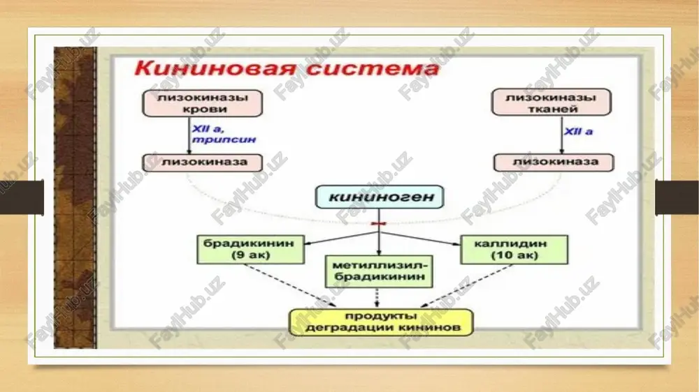 kallikrein-kinin tizimi - Page 4