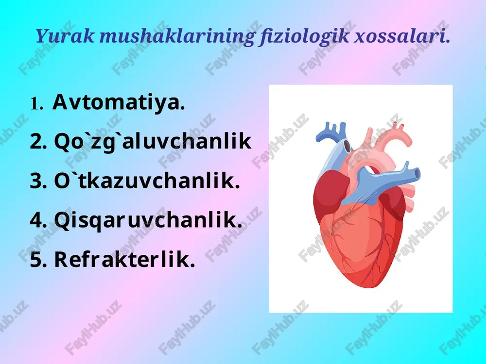 yurakning gemodinamik vazifasi - Page 4