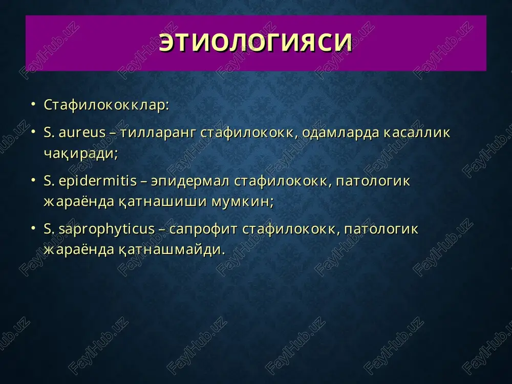 . piodermitlarning bu turida stafilokokklar follikulaning deyarli hamma qismida yallig'lanish chaqirgan xolda unga chuqur kirib boradi. kasallik boshlanishida qizil rangdagi og'ruvchi tugunchalar paydo bo'ladi. 2-3 kun o'tgach, ular o'rtasida soch bo'lgan maddaga aylanadi. bir ikki kunda madda suyuqligi chiqib kichik yaracha hosil bo'ladi. kasallik 5-7 kunda yakunlanadi va chuqur follikulit o'rnida kichik nuqtasimon chandiq qoladi, bunda soch so'rgichi emiriladi va qayta tiklanmaydi oddiy sikoz (sycosis vulgaris) oddiy sikoz surunkali qaytalanuvchi piodermit bo'lib, o'ziga xos xususiyatlarga ega: kasallikka chalingan follikulalarda beto'xtov ravishda ostiofollikulit va follikulit ko'rinishidagi qaytalangan elementlar hosil bo'ladi. kasallangan sohadagi qariyb barcha follikulalarning jarayonga tortilishi; sekinlik bilan, torpid kechishi; kasallikning klinik manzarasi asta-sekin rivojlanadi. furunkul furunkul (yoki chipqon) terining ko'p uchraydigan yiringli kasalliklaridan hisoblanadi. bu soch follikulasi, yog' bezi, uning atrofidagi biriktiruvchi to'qima va teri osti yog' kletchatkasining o'tkir, yiringli-nekrozli yallig'lanishidir. furunkul ko'pincha ostiofollikulit yoki follikulitdan infektsiyaning chuqurga qarab tarqalishi uchun qulay sharoit mavjud bo'lgan taqdirda rivojlanadi. yakka xolda …