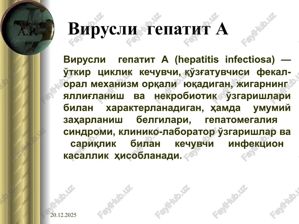 anish jarayoni (patogenez) i.k. musabaev (1980 yil) kuyidagi boskichlarga ajratadi: 1. virusni organizmga utishi; 2. ichak (havo-tomchi yuli)da bulishi; 3. limfa tugunchalarining yalliglanishi va virusni limfa yuli bilan jigarga tushishi; 4. virusni konga birlamchi utishi (virusemiya) va kon orkali jigarga tushishi; 5. parenximatoz a'zolariga tarkalishi; 6. viruslarni kiska muddatli urnashishi va ikkilamchi virusemiya; 7. immunitetni ortib borishi va organizmni virusdan tozalanishi. 15.02.2022 bilirubin almashinuvi tizmasi 15.02.2022 retikuloendoteliy hujayralariga gemoglobin parchalanishi natijasida bilirubin hosil bo'ladi. hosil bo'lgan bilirubin erkin bilirubin bo'lib, suvda erimaydi, parchalanmaydi, bo'yrak filtri orqali siydik bilan chiqmaydi u jigarning sinusoid bo'shlig'ida to'planib gepatotsitlar tomonidan aktiv ushlab olinadi jigar xujayralarida erkin bilirubin bog'langan bilirubinga aylanadi. glyukuroniltransferaza ta'siri natijasida bilirubin glyukuronil kislota bilan qo'shilib bog'langan bilirubinga o'tadi bog'langan bilirubin suvda eriydi va siydik bilan ajralishi mumkin. bog'langan bilirubin o't kapillyarlari bo'shlig'iga ekskretsiya qilinadi 12 barmoqli ichak bo'shlig'iga quyiladi patogenezi. virusli gepatit v patogenezida immunogenetik kontseptsiyaning moxiyati. giperergik xolat. gepatotsitlar immun …