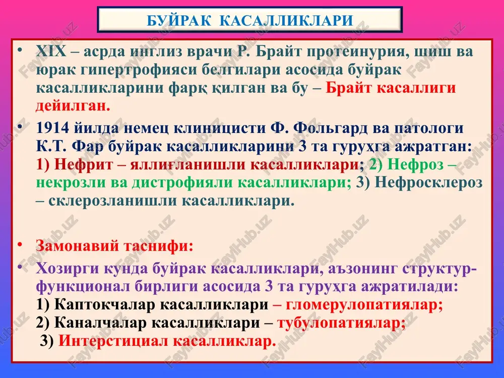 unday makroskopik ko'rinishli buyrakni “kattalashgan ola-bula buyrak” deyiladi. “kattalashgan ola-bula buyrak” yarimoysimon infiltrat 2. kaptokcha, tomirlari to'laqonli 3. kanalchada oqsil modda tez avj oluvchi glomerulonefrit 1 2 3 surunkali glomerulonefrit. 12 oydan uzoq, yashirin va retsidivlanib kechish xos. sababi nomalum, mexanizmi – immun birikmali reaktsiya. morfologiyasida 2 tipi farq qilinadi: mezangial va sklerozlangan. mezangial glomerulonefrit: ikki turda uchraydi: 1) membrano-proliferativ (mezangiokapillyar), 2) mezangioproliferativ. morfologik jihatdan buyrak kaptokchalari yirik, mezangiotsitlar proliferatsiyalanishidan ko'p hujayrali, gbm qalinlashishi, unda immun depozitlarning interpozitsiyasi, ikkiga ajralishi, “temir yo'lsimon” bazal membrana paydo bo'lishi xos. kaptokchalarda bo'lakchalar paydo bo'lib, lobulyar glomerulonefrit yuzaga chiqadi. kaptokchalardagi o'zgarishlardan tashqari, kanalchalar epiteliysida distrofiya va atrofiya, stromada interstitsial limfogistiotsitar infiltratsiya va skleroz rivojlanadi. oqibatda buyrak ikkilamchi bujmayishga uchraydi. diffuz sklerozlangan glomerulonefrit. bu glomerulonefritning barcha turlari yakunlovchi davri hisoblanadi. yorug'lik mikroskop ostida buyrak to'qimasida skleroz, gialinoz, kaptokchalar va kanallar atrofiyasi aniqlanadi. makro – buyraklar keskin kichiklashgan, kattiqlashgan, yuzasi mayda donador tusga kirgan va “ikkilamchi …