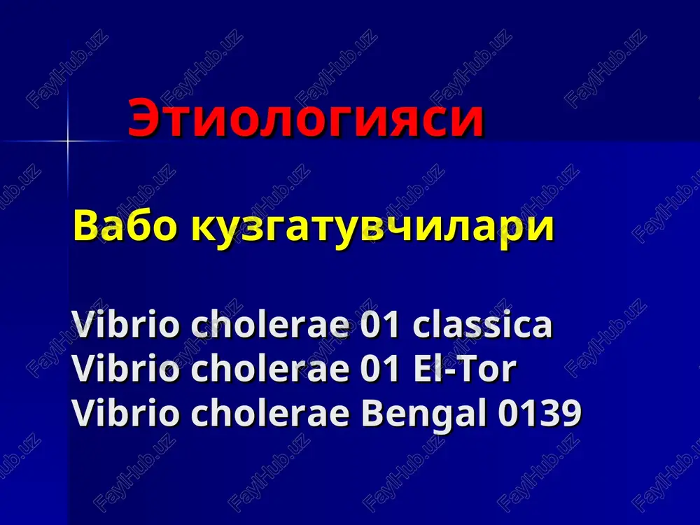 vaboning xar kanday shaklida ikkilamchi infektsiya kushilishi uchun sharoit paydo buladi, va bu ichakning tiklanayotgan mikroflorasi bilan boglikligi extimoli bor vaboning tifoid shakli vaboning tifoid shaklini simptomlari klinikasi ancha tez namoyon buladi temperatura bir necha soat davomida 38 – 40 ga kutariladi va ulim yuzaga kelguncha ushlanib turadi. terida kupincha rozeola nusxada toshmalar kuzatiladi yuz terisi dastlab rangpar, sungra kizaradi vasvasa xollari, kuzgalish adinamiya bilan almashishi mumkin vabo belgilari kuzatiladi boshlanishi tusatdan, kuchli intoksikatsiya belgilari bilan kechadi mushaklar, ayniksa kul-oyok mushaklarining tortishishlari kuzatiladi meningial va entsefalitik simptomlar musbat buladi organizmda tez suvsizlanishi va tuzsizlanishi kuzatiladi ab pasayishi yoki yukolishi mumkin ich ketishi va kayt kilish kuzatiladi birinchi sutkalar mobaynida bemor ulishi mumkin vaboning yashin tezligida kechuvchi shakli bemorning axlati kusuk massasi kusuk massasini yigish bemorning tashki kurinishi “kir yuvuvchi kullari” teri burmasining tugrilanmasligi simptomi bemorning kurinishi: vabo algidi bemorda kollaps xolati vabodan ulgan bemor ingichka ichagining kurinishi tashxisot usullari bakteriologik …