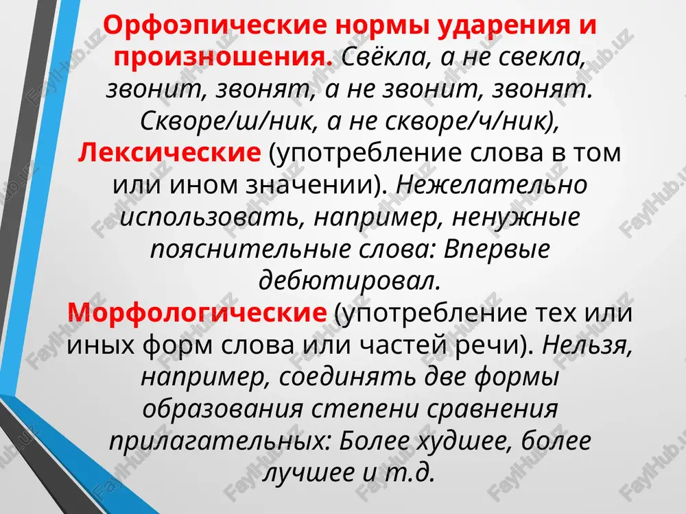 yazikovaya norma. ponyatie, tipi norm - Page 4