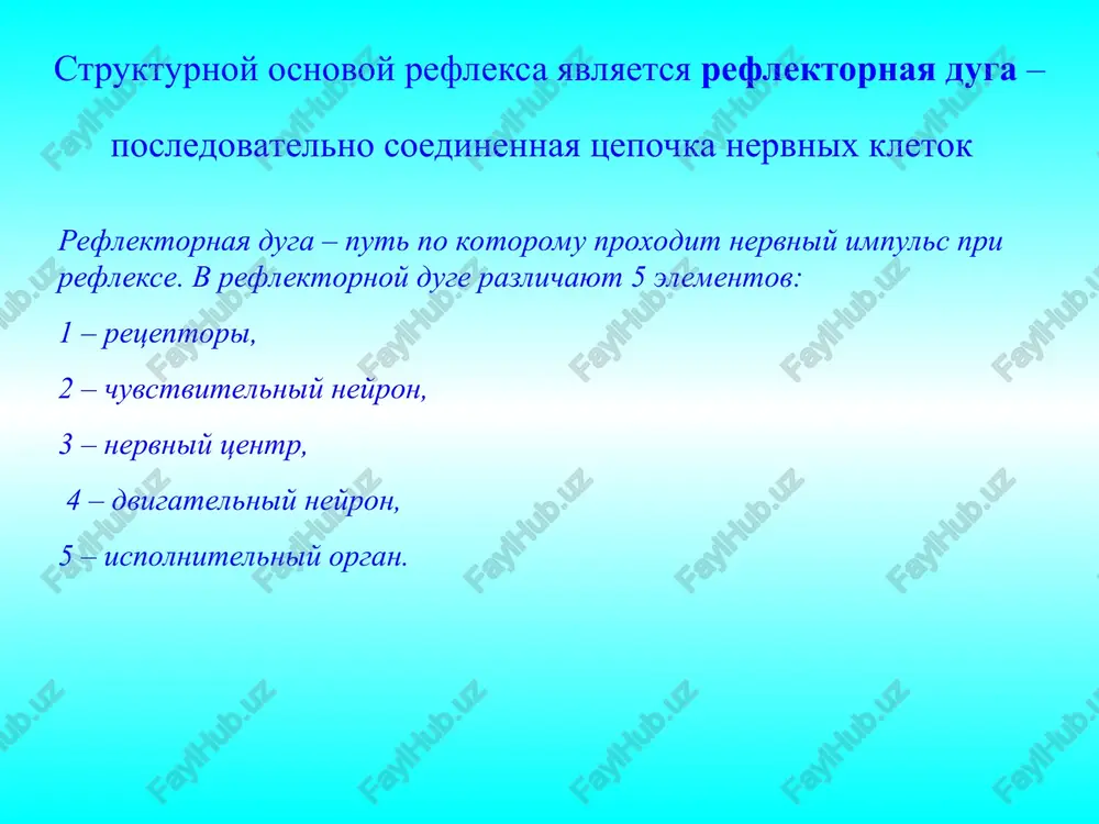 otaniya, sosaniya; refleksi, svyazannie s podderjaniem pozi, vipryamleniya i izmeneniya tela v prostranstve pri dvijenii cheloveka. 1 — neyroni ser-dechno- sosudistogo; 2 — neyroni dixa-telnogo tsentra (tsentri vdoxa i vidoxa); 3,4 — apneystiches-kiy i pnevmotaksi-cheskiy tsentri; 5 — retikulyarnaya formatsiya; 6 — yadra oliv. razlichayut dve gruppi refleksov pozi: 1. staticheskie (podderjanie pozi v pokoe): refleksi polojeniya refleksi vipryamleniya labirintnie refleksi sheynie refleksi 2. statokineticheskie (podder-janie pozi pri izmenenii sko-rosti dvijeniya): nistagm liftnie refleksi provodnikovaya funktsiya prodolgovatogo mozga v prodolgovatom mozge berut nachalo: olivospinalniy trakt retikulospinalniy trakt zdes zakanchivayutsya: nisxodyashiy kortikoretikulyarniy put vosxodyashie puti golya i burdaxa proxodyat tranzitom: spinotalamicheskiy put kortikospinalniy put rubrospinalniy put vestibulospinalniy put tektospinalniy i spinomozjechkoviy puti obespechivayut tonus i koordinatsiyu sokrasheniya mishts slayd 4 funktsii spinnogo mozga reflektornaya provodnikovaya dvigatelnie refleksi vegetativnie refleksi (refleksi mochepolovoy sistemi, jkt, sosudistoy i dixatelnoy sistemi, regulyatsiya temperaturi tela i dr.) monosinapticheskie polisinapticheskie ritmicheskie (xodba) sheynie (tonicheskie) poznie (podderjanie pozi) …