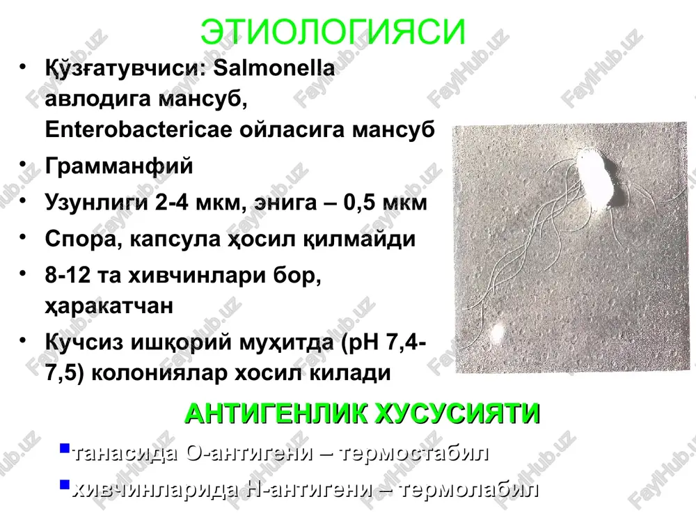 jamoat salomatligi texnikumi - Page 4