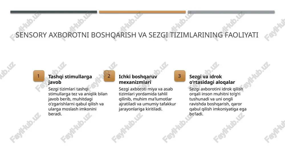 va idrok tushunchalarining izohlanishi. 1 neuroilmlardagi yondashuvlar zamonaviy neyroilmlardagi tadqiqotlar, sezgi va idrok jarayonlarini miya faoliyati va neyrotransmitterlar bilan bog‘laydi, bu esa inson fikrining biologik asoslarini aniqlashga yordam beradi. 2 kognitiv jarayonlar va neyroplastika neyropsixologik yondashuvlar, insonning kognitiv rivojlanishi va neyroplastikasi orqali sezgi va idrok o‘rtasidagi aloqalarni tushuntiradi, bu esa yangi bilimlar o‘rganishni ta’minlaydi. 3 texnologik innovatsiyalar mri, eeg kabi texnologiyalar yordamida, sezgi va idrok jarayonlarini chuqur o‘rganish imkoniyati paydo bo‘ldi, bu esa neyro-psixologiya sohasini rivojlantirmoqda. xulosa 1 sezgi va idrok jarayonlarining asoslari - sezgi va idrok inson ongining ajralmas qismidir, ular muhitni anglash va tushunish uchun muhim, biologik, psixologik va texnologik asoslarni o‘z ichiga oladi. 2 zamonaviy texnologiyalar va yondashuvlar - zamonaviy texnologiyalar, eeg va mri yordamida sezgi va idrok jarayonlarini chuqur o‘rganish imkoniyatlarini kengaytirdi, biologik va psixologik tushunchalarni rivojlantirdi. 3 inson fikrining rivojlanishi - fikrlash va sezgi jarayonlari yosh bilan rivojlanadi, ular o‘zaro bog‘liq bo‘lib, shaxsiy tajriba va …