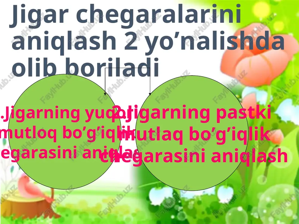 jigar perkussiyasi - Page 4
