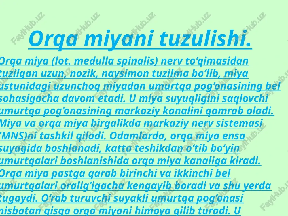 orqa miyani tuzulishi - Page 4