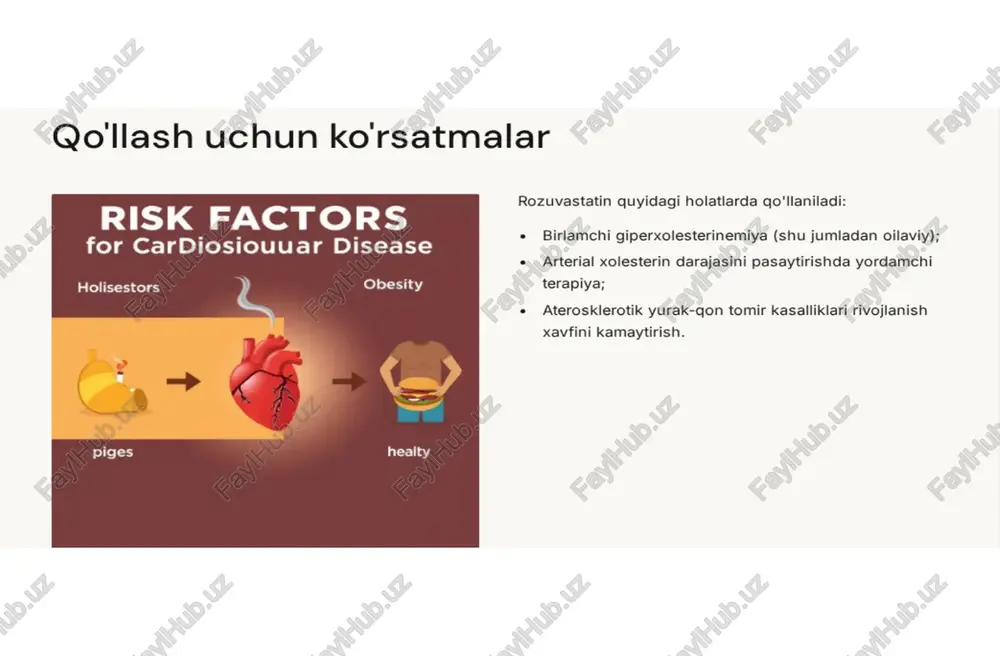 novtor rozuvastatin - Page 4