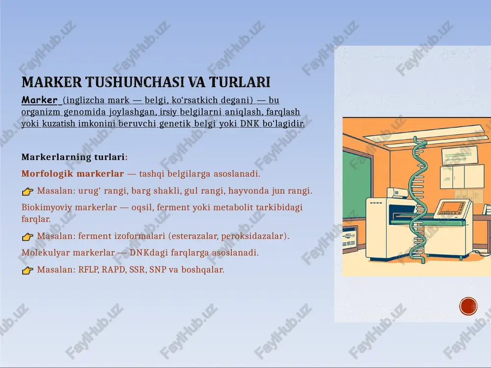 a ishonchli. muhit ta’siriga bog‘liq emas — tashqi omillar dnk tuzilmasini o‘zgartirmaydi. belgilar erta bosqichda aniqlanadi — organizm hali o‘smagan paytda ham foydali genlar bor-yo‘qligini bilish mumkin. murakkab belgilarni tahlil qilish mumkin — hosildorlik, chidamlilik kabi ko‘p genli belgilarni ham baholaydi. avlodlar o‘rtasida genetik masofani aniqlaydi — naslchilik va evolyutsion tadqiqotlarda ishlatiladi. marker yordamida seleksiya (mas) imkonini beradi — tanlashni tezlashtiradi va aniqlashtiradi. molekulyar markerlarning kamchiliklari: qimmat uskunalar va reagentlar kerak — pcr, elektroforez, sekvensatorlar kabi jihozlar talab etiladi. maxsus mutaxassislik zarur — tajribani bajarish uchun genetik yoki biotexnolog mutaxassis kerak. ma’lumot tahlili murakkab — dnk natijalarini kompyuterda qayta ishlashni bilish lozim. har bir tur uchun marker tizimi alohida ishlab chiqiladi — universal markerlar mavjud emas. ba’zi hollarda gen bilan to‘g‘ridan-to‘g‘ri bog‘liq bo‘lmasligi mumkin — ya’ni marker gen yaqinida joylashgan bo‘ladi, ammo uni o‘zi ifodalamaydi. marker-assotsiatsiyalangan selektsiya (mas – marker assisted selection)bu — selektsiyaning eng keng qo‘llaniladigan usuli bo‘lib, kerakli …