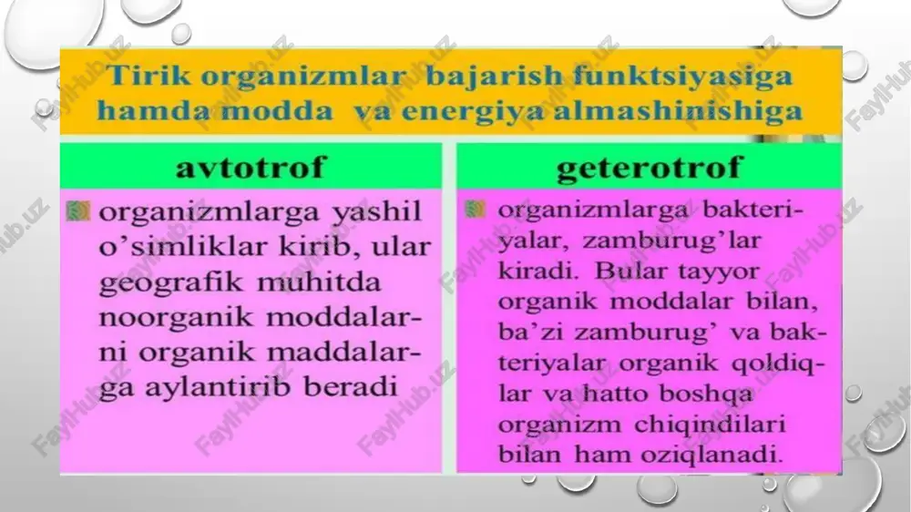 mikroorganizmlarning oziqlanishi - Page 4