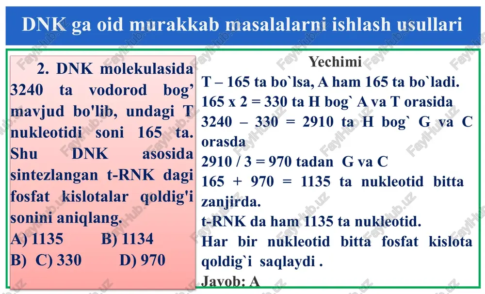 5y=300 y=60; 2y=120. endi x ni topamiz birinchi haddan: 2x=2y+60= 60+120=180. ∑ (nukleotidlar)=120+180=300 l = = = 51 nm. 10. i-rnk 100ta nukleotidan iborat bo`lsa, oqsil sintezida qatnashgan dnkdagi purin asosi(a) va fosfodiefir bog`lar sonini aniqlang. a)a-100 b-198 b)a-110 b-218 c)a-120 b-238 d)a-260 b-518 dnk ga oid murakkab masalalarni ishlash usullari yechimi i-rnk da 100 ta nukleotid bo`lsa dnk da 200 ta bo`ladi. dnk da purin asoslari (a + g) va pirimidin asoslari (s + t) soni doim teng bo`ladi. 2000 ta nukleotid bo`lsa 100 ta purin asoslari (a) bo`ladi. fosfodiefir bog`lar esa 200 – 2 = 198 ta (b) javob: a 11. dnk dagi 1ta nukleotidning o`rtacha og`irligi 345 dalton, oqsildagi bitta aminokislotaning o`rtacha og`irligi 120 ma`lum. 227700 massali dnk molekulasi oqsil biosintezida mutatsiya natijasida 6 juft nukleoitid yo`qolib qoldi.hosil bo`lgan oqsildagi aminokislotalarning umumiy massasini aniqlang. a)12960 b)13400 c)15000 d)13300 dnk ga oid murakkab masalalarni ishlash usullari yechimi 227700 …