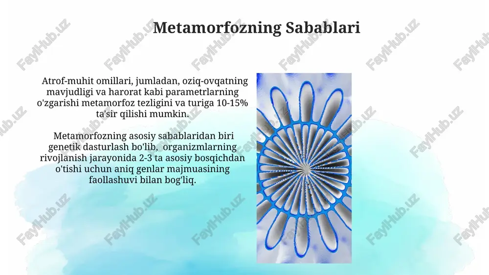 asosiy marfologik qonuniyatlari - Page 4