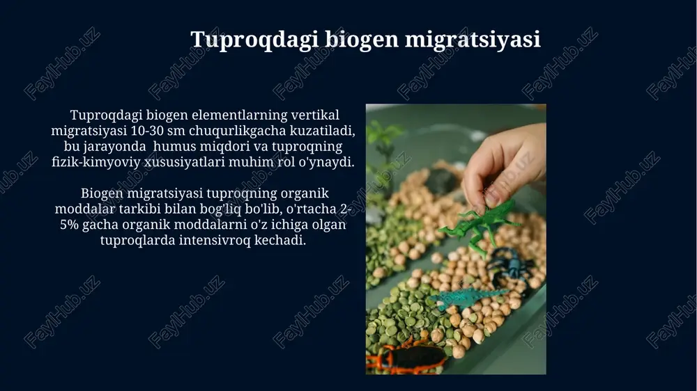 biogen migratsiyasi va biomassa - Page 4