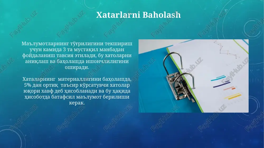 auditorlik xisoboti - Page 4