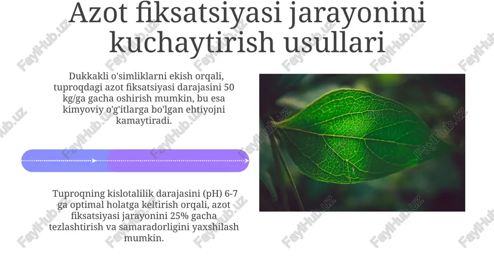 larning 1,5-2% ni azot tashkil etadi, uning yetishmasligi o'sishning sekinlashishiga, barglarning sarg'ayishiga va hosildorlikning pasayishiga olib keladi. azotning tuproqdagi mavjudligi 3 asosiy shaklda: ammiak (nh₃), nitrit (no₂⁻) va nitrat (no₃⁻) ionlari ko'rinishida bo'ladi va o'simliklar ularni turlicha o'zlashtiradi. azotning o'simliklarga ta'siri o'simliklarning azotga bo'lgan ehtiyoji turlicha bo'lib, masalan, dukkaklilar 100 kg hosil uchun 4-5 kg, donli ekinlar esa 2-3 kg azotga muhtoj. ortiqcha azot o'simliklarda nitrat to'planishiga olib keladi, bu esa o'simlik sifatini pasaytiradi va inson salomatligiga xavf tug'dirishi mumkin, optimal miqdori 15-20 mg/kg dan oshmasligi kerak. e'tiboringiz uchun rahmat @taqdimot_robot image4.jpg image5.jpg image6.jpg image7.jpg image8.jpg image9.jpg image10.jpg image11.jpg image12.jpg image13.jpg image14.jpg image15.jpg image16.jpg image17.jpg image18.jpg image19.jpg image20.jpg image1.jpeg image2.jpeg image3.jpeg
