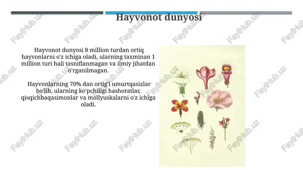 inan 10% energiya keyingi darajaga o'tadi, qolgan 90% esa issiqlik shaklida yo'qoladi. mikroblar dunyosi tuproqdagi mikrobiom, o'simliklarning o'sishi va sog'lig'ida muhim rol o'ynaydi, 1 gramm tuproqda 1 milliarddan ortiq hujayra bo'lishi mumkin. mikroorganizmlar biogeokimyoviy sikllarda, masalan, azot siklida muhim ahamiyatga ega bo'lib, yillik azot fiksatsiyasi 100 million tonnani tashkil etadi. biotik omillar biotik omillar, masalan, o'simliklar va hayvonlar, biomning xilma-xilligini aniqlaydi va 1000 dan ortiq turdagi o'simliklar va hayvonlarni o'z ichiga olishi mumkin. har bir biomning o'ziga xos biotik omillar to'plami bor bo'lib, ularning o'zaro ta'siri va raqobati tufayli 10-15% ga yaqin turlar yo'qolib ketishi mumkin. e'tiboringiz uchun rahmat @taqdimot_robot image1.jpg image2.jpg image3.jpg image4.jpg image5.jpg image6.jpg image7.jpg image8.jpg image9.jpg image10.jpg image11.jpg image12.jpg image13.jpg image14.jpg image15.jpg image16.jpg image17.jpg