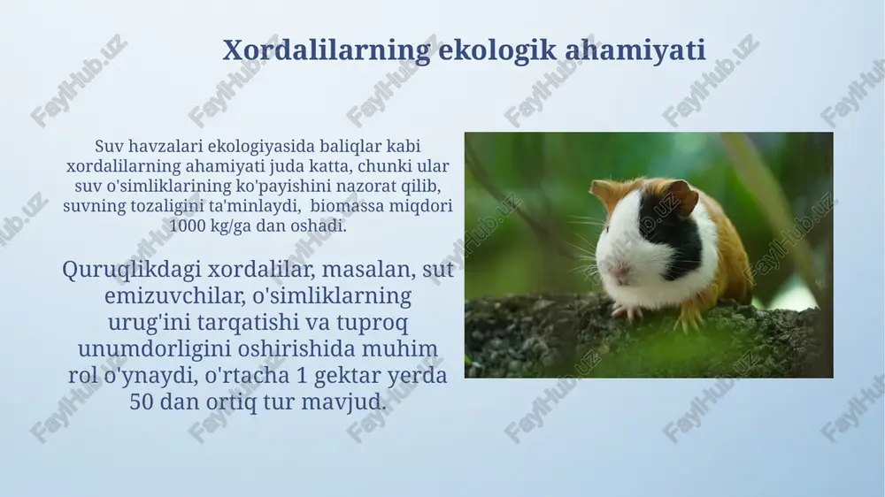 larini o'z ichiga olib, biosphere energiya oqimining muhim tarkibiy qismini tashkil qiladi, ularning ko'pchiligi oziq-ovqat zanjiri va oziq-ovqat to'rlarida muhim rol o'ynaydi. xordalilarning iqlim o'zgarishlariga javobi quruqlikdagi xordalilarning ko'pchiligi, o'simliklarning mavsumiy o'zgarishlariga bog'liq bo'lib, 3-4 oylik qurg'oqchilik davri ularning oziq-ovqat manbalarini keskin kamaytiradi va o'lim darajasini oshiradi. dengiz xordalilarining, ayniqsa mercan riflari ekotizimlaridagi turlarning, 1-2°s harorat oshishiga moslashishi cheklangan bo'lib, bu katta miqdordagi bioxilma-xillikni yo'qotishiga olib kelishi mumkin. xordalilarni o'rganish usullari molekulyar filogenetik usullar, masalan, dnk ketma-ketligini solishtirish orqali 1000 dan ortiq xordali turining filogenetik aloqalarini aniqlash mumkin. ekologik kuzatishlar va 5 yillik davom etgan populyatsiya dinamikasi tadqiqotlari xordalilarning biotik va abiotik omillarga javobini o'rganishga yordam beradi. dengiz muhitlarida xordalilarning roli dengiz xordalilari, jumladan, baliqlar, dengiz sutemizuvchilari va dengiz qushlari, okeanlardagi organik moddalarning vertikal tarqalishiga, bioturbatsiyaga va biogeokimyoviy sikllarga ta'sir ko'rsatadi. taxminan 25000 ga yaqin dengiz xordalilarining turlari bioxilma-xillikni qo'llab-quvvatlaydi va dengiz ekosistemalarining barqarorligi uchun muhimdir, ularning soni va turlarning …