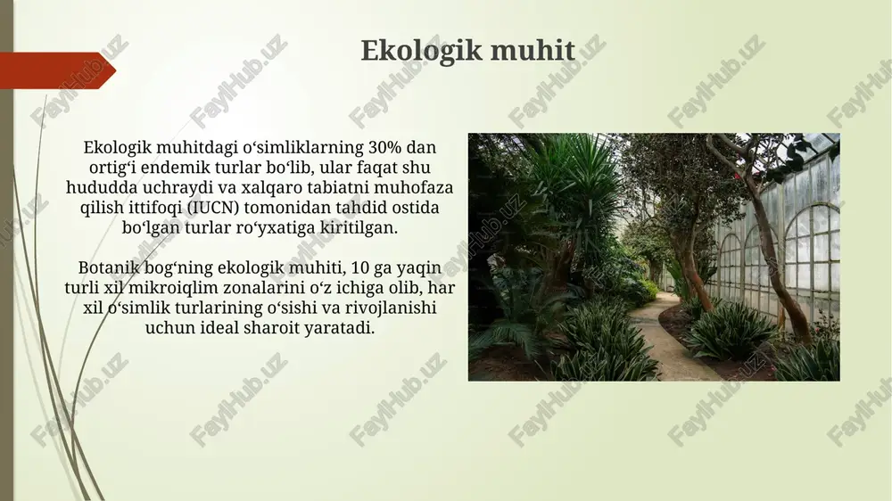 siyatlarini eslatib o'ting. e'tiboringiz uchun rahmat @taqdimot_robot image1.jpg image2.jpg image3.jpg image4.jpg image5.jpg image6.jpg image7.jpg image8.jpg image9.jpg image10.jpg image11.jpg image12.jpg image13.jpg image14.jpg image15.jpg image16.jpg image17.jpg