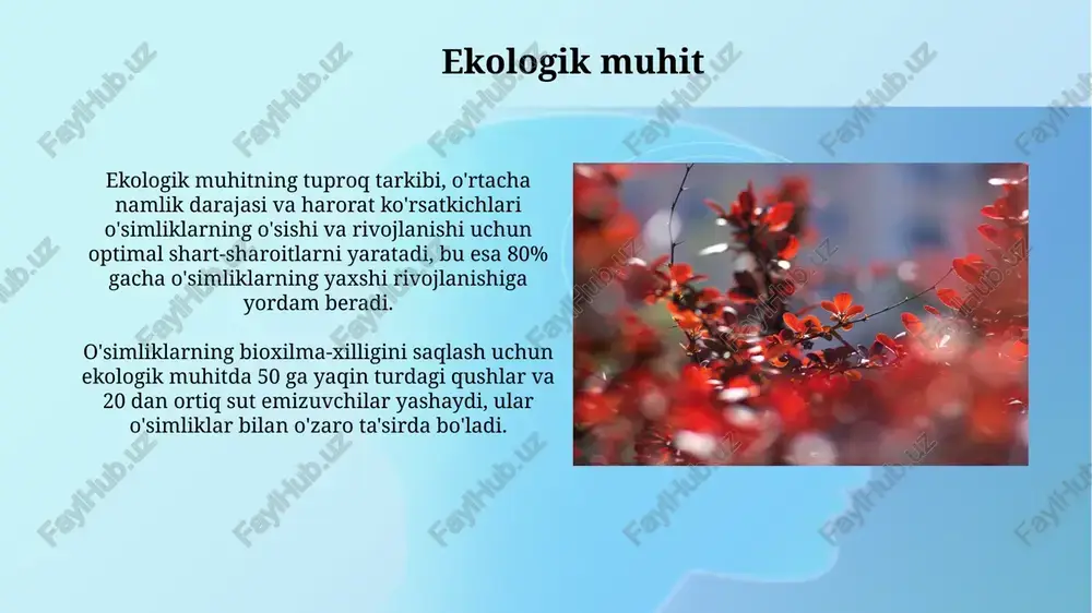 botanika bog'iga ekskursiya - Page 4