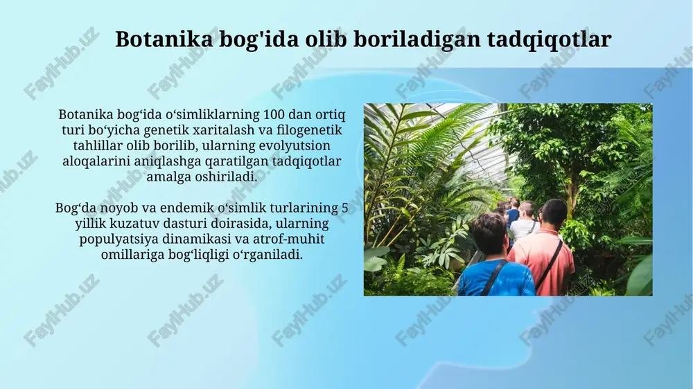 turi mavjud boʻlib, ularning aksariyati tropik va subtropik mintaqalarda tarqalgan. dindorlar oilasiga mansub ba’zi oʻsimliklar, masalan, qalampir, vitamin c va boshqa muhim antioksidantlarga boy hisoblanadi. e'tiboringiz uchun rahmat @taqdimot_robot image2.jpg image3.jpg image4.jpg image5.jpg image6.jpg image7.jpg image8.jpg image9.jpg image10.jpg image11.jpg image12.jpg image13.jpg image14.jpg image15.jpg image16.jpg image17.jpg image18.jpg image1.png