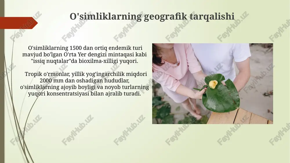ham sezilarli hissa qo'shadi, yiliga 50000 dan ortiq sayyoh ularni ko'rish uchun botanika bog'lariga tashrif buyuradi. nodir o'simliklarni saqlash bo'yicha tavsiyalar o'simlikning genetik xilma-xilligini saqlash uchun populyatsiyasi 50 dan kam bo'lgan nodir turlar uchun kamida 3 ta "ex-situ" kollektsiya yaratish tavsiya etiladi. nodir o'simliklarni himoya qilish uchun kamida 10-15% er maydonini muhofaza etish zonasi sifatida ajratish va u erda invaziv turlarning tarqalishini nazorat qilish zarur. e'tiboringiz uchun rahmat @taqdimot_robot image1.jpg image2.jpg image3.jpg image4.jpg image5.jpg image6.jpg image7.jpg image8.jpg image9.jpg image10.jpg image11.jpg image12.jpg image13.jpg image14.jpg image15.jpg image16.jpg image17.jpg