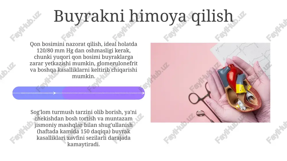 kroskopik tahlili – buyrak kasalliklarining turini aniqlashda, masalan, glomerulonefritning 3 ta asosiy turini farqlashda muhim rol o'ynaydi. buyrak ultratovush tekshiruvi buyrak o'lchamlarini, tuzilishini va tosh yoki kistalar kabi anormalliklarni aniqlashda 90% dan yuqori aniqlikni ta'minlaydi. aldosteronning ta'siri aldosteronning ta'siri natijasida qon hajmi va arterial bosimning oshishi kuzatiladi, bu esa buyrakda renin-angiotenzin-aldosteron sistemasining faolligini kamaytiradi. aldosteron, distal buyrak naychalarida va yig'uvchi naychalarda joylashgan mineralokortikoid retseptorlari orqali ta'sir ko'rsatib, natriy-kaliy almashinuvida muhim rol o'ynaydi. tubulyar reabsorbsiya buyrak naychalarida suvning 99% dan ortigʻi passiv ravishda, osmotik gradient orqali qayta soʻriladi, bu esa qon hajmining va elektrolitlar muvozanatini saqlashda muhim rol oʻynaydi. gemofiltratdagi 65% ga yaqin natriy ionlari proksimal buyrak naychasida qayta soʻriladi, bu jarayon natriy-kaliy-atpaz fermentining faoliyati bilan chambarchas bogʻliq. e'tiboringiz uchun rahmat @taqdimot_robot image4.jpg image5.jpg image6.jpg image7.jpg image8.jpg image9.jpg image10.jpg image11.jpg image12.jpg image13.jpg image14.jpg image15.jpg image16.jpg image17.jpg image18.jpg image19.jpg image20.jpg image1.jpeg image2.jpeg image3.jpeg