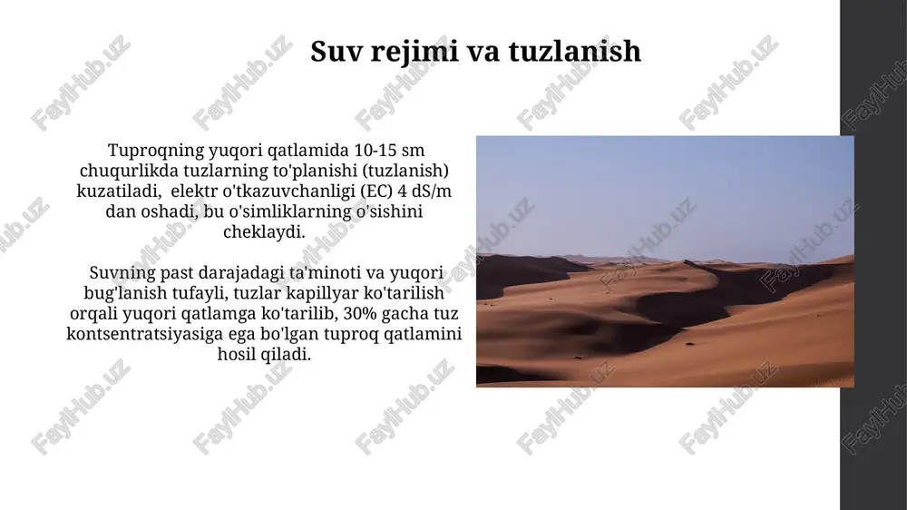 chala cho‘l tuproqlari - Page 4