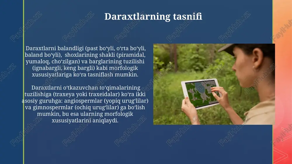 daraxtlar haqida tushuncha - Page 4