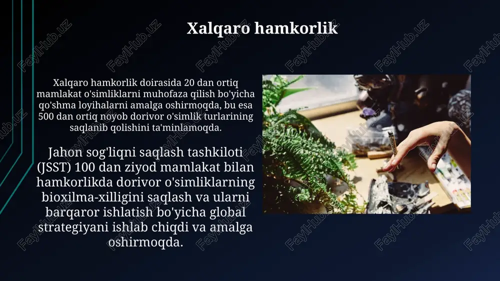 ya ishlab chiqish va amalga oshirish muhimdir. “barqaror rivojlanish” doirasida oʻsimlik resurslaridan oqilona foydalanish, 2050-yilgacha jahon aholisi sonining 9 milliarddan oshishini hisobga olgan holda, dorivor oʻsimliklarning yetishtirish hajmini 30% ga oshirishni talab qiladi. jamoatchilik ongini oshirish o'simliklarning 70% dan ortig'i xalq tabobati uchun qo'llanilishi, ularning ahamiyatini targ'ib qilish orqali jamoatchilik ongini oshirish muhimdir. 15 yoshdan oshgan 500 nafar fuqaroga o'tkazilgan so'rovnoma shuni ko'rsatdiki, medicinal o'simliklar haqida bilim darajasi past, shuning uchun keng miqyosli ta'lim muhimdir. dorivor o'simliklarni yetishtirish va saqlash do'rivor o'simliklarni etishtirishda organik o'g'itlardan foydalanish hosildorlikni 15-20% ga oshirishi va o'simliklarning dorivor xususiyatlarini yaxshilashi tasdiqlangan. o'simliklarning tabiiy yashash muhitini saqlab qolish uchun 5-10 yillik reja asosida himoyalangan hududlarni kengaytirish va biologik xilma-xillikni oshirish choralarini ko'rish zarur. e'tiboringiz uchun rahmat @taqdimot_robot image1.jpg image2.jpg image3.jpg image4.jpg image5.jpg image6.jpg image7.jpg image8.jpg image9.jpg image10.jpg image11.jpg image12.jpg image13.jpg image14.jpg image15.jpg image16.jpg image17.jpg