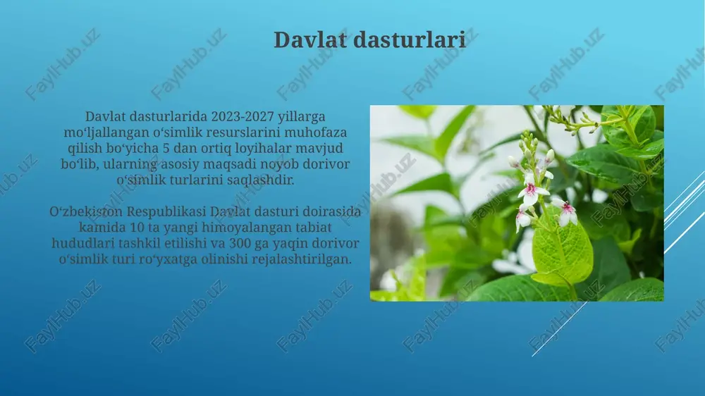 chun muayyan me'yorlarga, shu jumladan ekologik talablarga va 5 yillik muddatga amal qilishga rioya qilish kerak. ilmiy tadqiqotlar 15 yildan ortiq davom etgan ilmiy izlanishlar natijasida 100 dan ziyod dorivor o'simlik turlarini aniqlash va ularning kimyoviy tarkibi, terapevtik xususiyatlari va ekotizimdagi o'rnini o'rganishga muvaffaq bo'lindi. o'simlik ekstraktlarining farmakologik faolligini aniqlash uchun in vitro va in vivo usullaridan foydalanilgan 30 dan ortiq ilmiy tadqiqotlar mavjud bo'lib, ularning samaradorligini va xavfsizlik profilini baholashga yordam beradi. ta'lim va o'qitish "ta'lim va o'qitish" jarayonida 5 yillik o'quv rejasida kamida 20 soat dorivor o'simliklarni muhofaza qilishga bag'ishlanadi, bu esa kelajakdagi mutaxassislarning malakasini yuqori darajaga ko'taradi. o'simliklarning 150 dan ortiq turi dorivor xossalarga ega bo'lib, ularning 30 foizi "ta'lim va o'qitish" dasturlarida o'rganiladi, bu esa bioxavfsizlik va o'simliklarni muhofaza qilish bo'yicha bilim darajasini oshiradi. e'tiboringiz uchun rahmat @taqdimot_robot image1.jpg image2.jpg image3.jpg image4.jpg image5.jpg image6.jpg image7.jpg image8.jpg image9.jpg image10.jpg image11.jpg image12.jpg image13.jpg image14.jpg image15.jpg image16.jpg image17.jpg