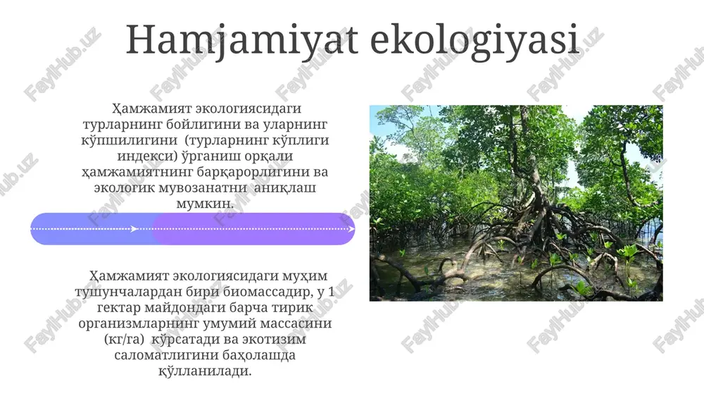 ekologik ta'limning zamonaviy usullari - Page 4