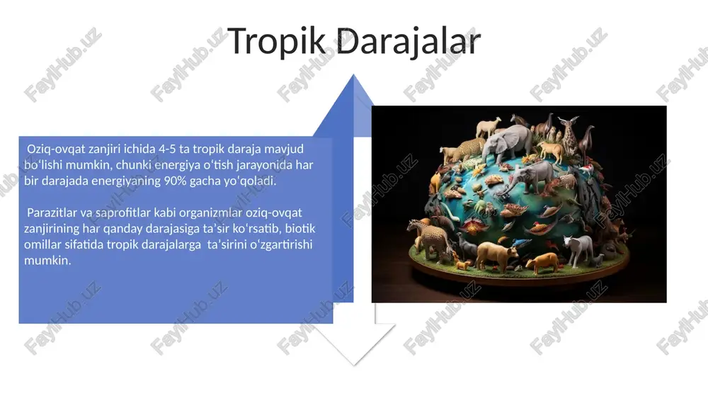 irib, oziq-ovqat zanjiri bo'ylab energiyaning 10% ga yaqin o'tishini ko'rsatadi. ikkinchi darajali iste'molchilar ikkinchi darajali iste'molchilarning biomassasi birlamchi iste'molchilarga nisbatan taxminan 10% ni tashkil qiladi, bu energiya o'tkazilishining samaradorligini aks ettiradi. ikkinchi darajali iste'molchilar, masalan, ba'zi sudralib yuruvchilar yoki kichik yirtqichlar, o'rtacha 2-3 ta birlamchi iste'molchini yeyishi mumkin va oziq-ovqat zanjirida muhim rol o'ynaydi. parazitlar va saprofitlar saprofitlar o'lik organik moddalarni, masalan, o'simliklar va hayvonlarning qoldiqlarini parchaladi va shu orqali 100 ga yaqin turli xil fermentlar yordamida ekosistemaning biogeokimyoviy aylanishiga hissa qo'shadi. ba'zi parazitlar va saprofitlar simbiotik munosabatlarga kirishib, bir-biriga foyda keltirishi yoki zarar yetkazishi mumkin; masalan, 20% parazitlar boshqa saprofitlarga yordam beradi. e'tiboringiz uchun rahmat @taqdimot_robot image4.jpg image5.jpg image6.jpg image7.jpg image8.jpg image9.jpg image10.jpg image11.jpg image12.jpg image13.jpg image14.jpg image15.jpg image16.jpg image17.jpg image3.png image18.jpg image19.jpg image20.jpg image1.jpeg image2.jpeg