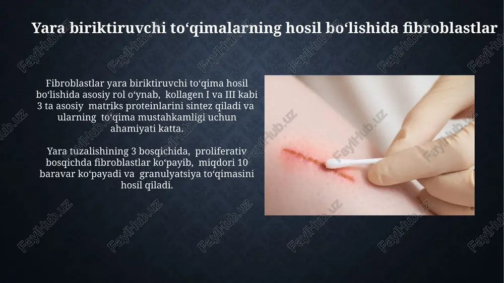 fibroblastlarning jarohatning bitishi va chandiq hosil bo'lishidagi roli - Page 4